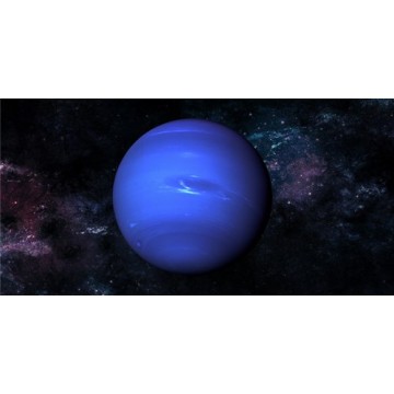 Neptune Photo License Plate